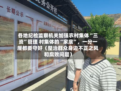 各地纪检监察机关加强农村集体“三资”管理 村集体的“家底”，一分一厘都要守好（整治群众身边不正之风和腐败问题）-第3张图片