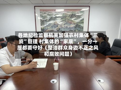 各地纪检监察机关加强农村集体“三资”管理 村集体的“家底”	，一分一厘都要守好（整治群众身边不正之风和腐败问题）-第2张图片