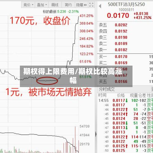 期权得上限费用/期权比较高涨幅-第2张图片