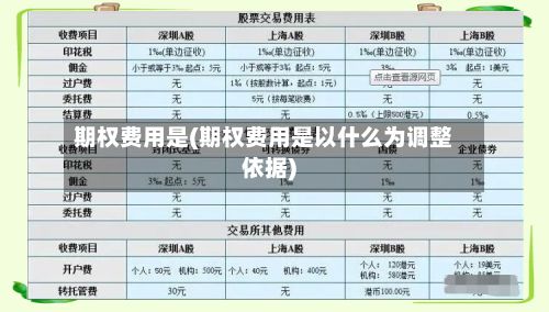 期权费用是(期权费用是以什么为调整依据)-第2张图片