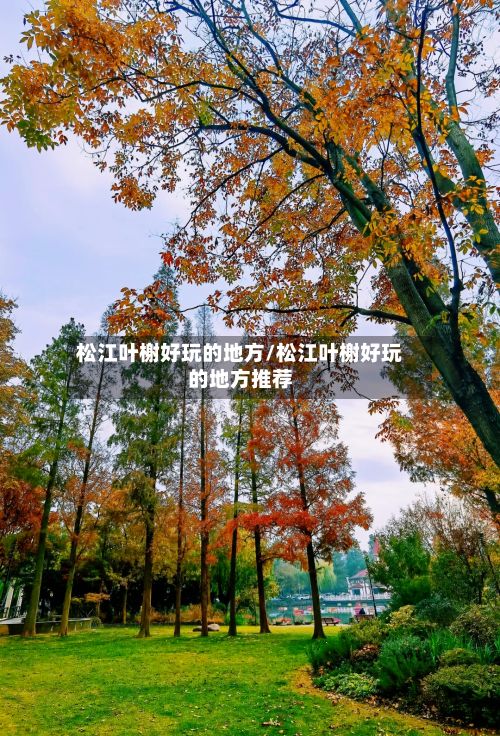 松江叶榭好玩的地方/松江叶榭好玩的地方推荐-第2张图片