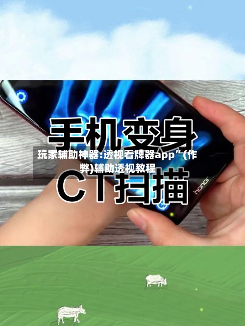 玩家辅助神器:透视看牌器app	”(作弊)辅助透视教程-第2张图片