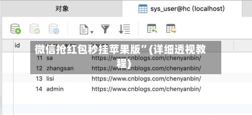 微信抢红包秒挂苹果版”(详细透视教程)-第3张图片