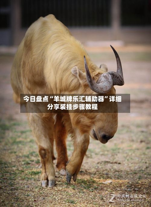 今日盘点“羊城牌乐汇辅助器”详细分享装挂步骤教程-第2张图片