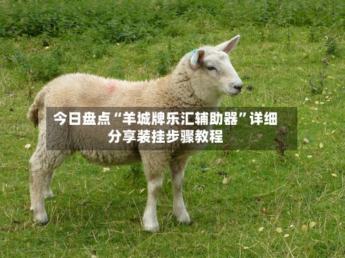 今日盘点“羊城牌乐汇辅助器”详细分享装挂步骤教程-第3张图片