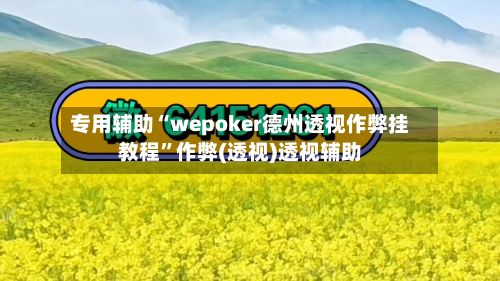 专用辅助“wepoker德州透视作弊挂教程”作弊(透视)透视辅助-第2张图片