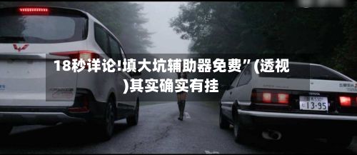 18秒详论!填大坑辅助器免费	”(透视)其实确实有挂-第3张图片