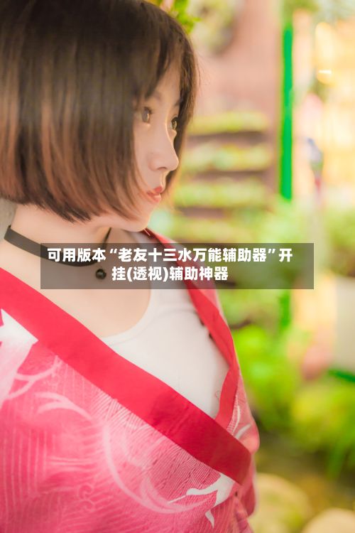 可用版本“老友十三水万能辅助器”开挂(透视)辅助神器-第3张图片