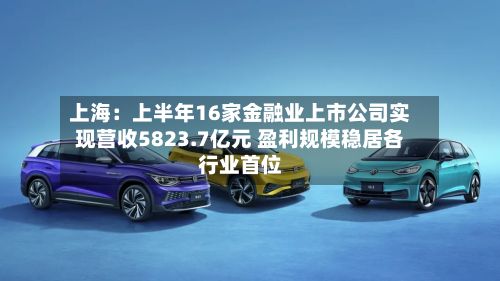 上海：上半年16家金融业上市公司实现营收5823.7亿元 盈利规模稳居各行业首位