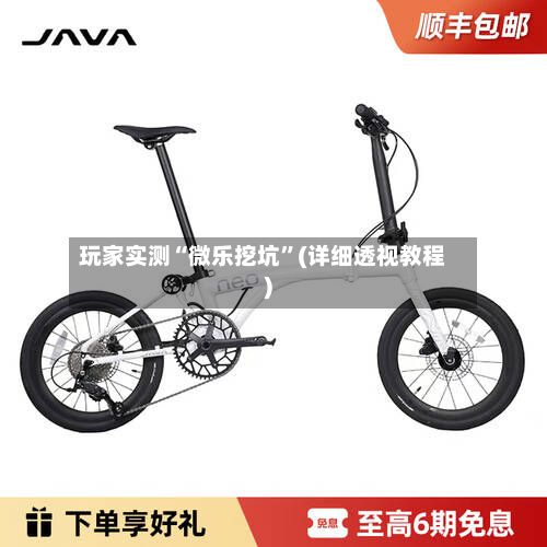 玩家实测“微乐挖坑”(详细透视教程)-第2张图片
