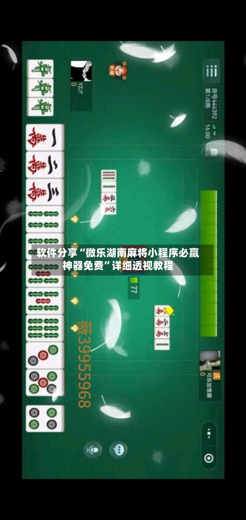 软件分享“微乐湖南麻将小程序必赢神器免费”详细透视教程-第2张图片