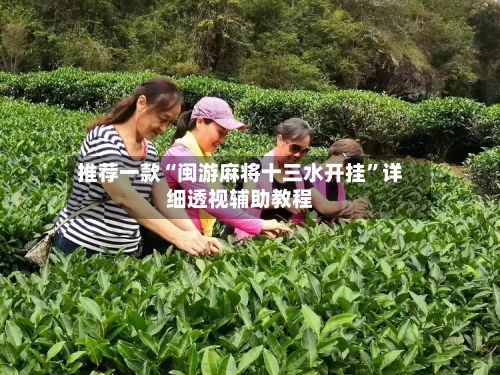 推荐一款“闽游麻将十三水开挂”详细透视辅助教程-第3张图片