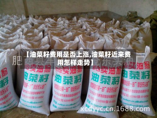【油菜籽费用是否上涨,油菜籽近来费用怎样走势】-第2张图片