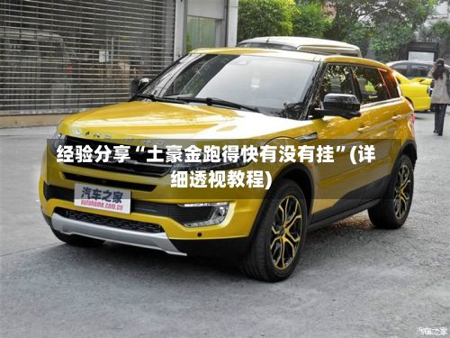 经验分享“土豪金跑得快有没有挂”(详细透视教程)-第2张图片