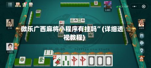 微乐广西麻将小程序有挂吗”(详细透视教程)-第3张图片