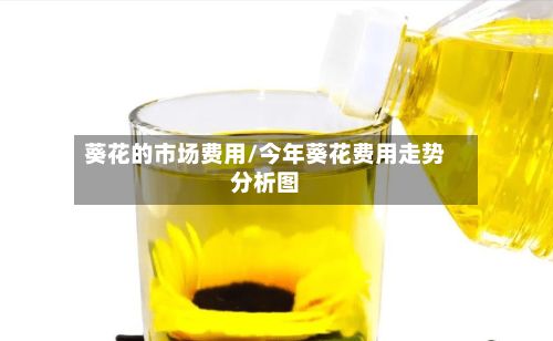葵花的市场费用/今年葵花费用走势分析图