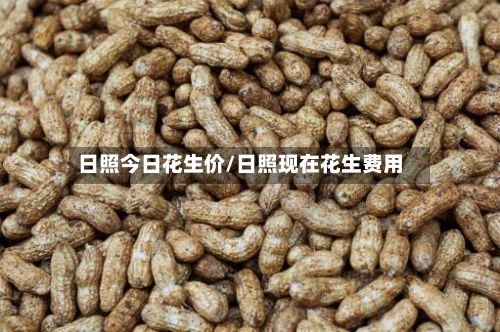 日照今日花生价/日照现在花生费用