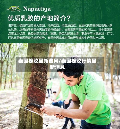 泰国橡胶最新费用/泰国橡胶行情最新消息