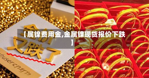 【属镍费用金,金属镍现货报价下跌】-第3张图片