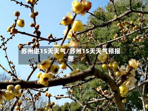 苏州进15天天气/苏州15天天气预报嗯-第2张图片