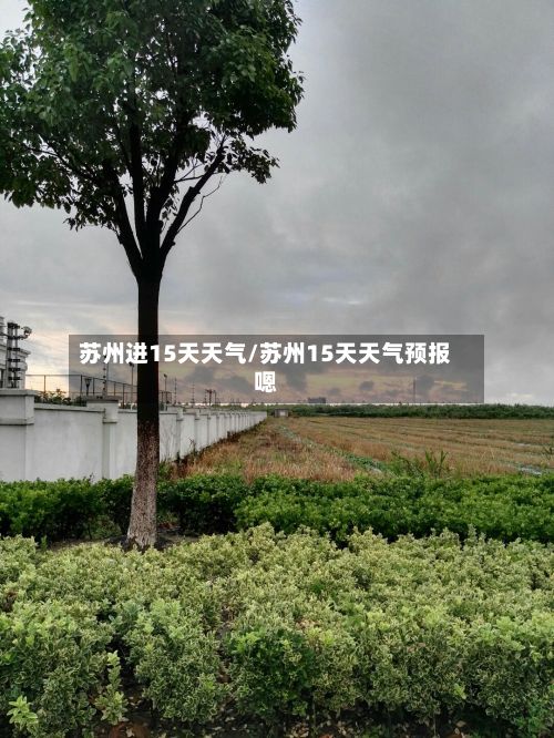 苏州进15天天气/苏州15天天气预报嗯
