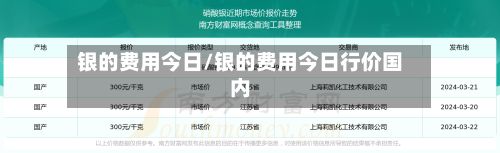 银的费用今日/银的费用今日行价国内