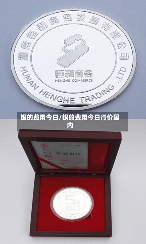 银的费用今日/银的费用今日行价国内-第2张图片