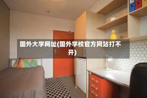 国外大学网址(国外学校官方网站打不开)
