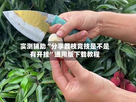 实测辅助“分享荔枝竞技是不是有开挂	”通用版下载教程-第2张图片