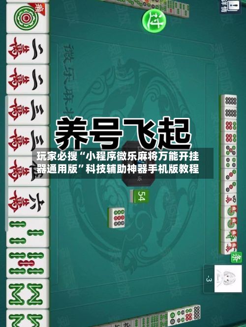 玩家必搜“小程序微乐麻将万能开挂器通用版”科技辅助神器手机版教程-第2张图片