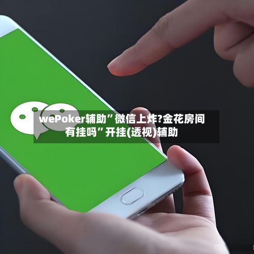 wePoker辅助”微信上炸?金花房间有挂吗	”开挂(透视)辅助-第3张图片