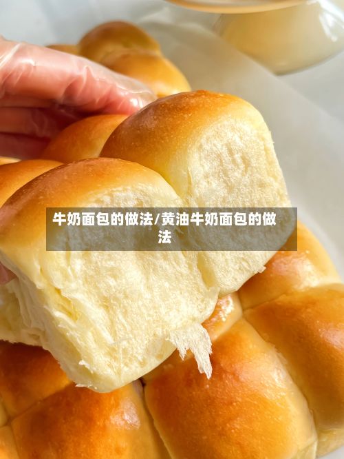 牛奶面包的做法/黄油牛奶面包的做法