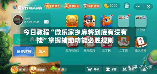 今日教程“微乐家乡麻将到底有没有挂”掌握辅助功能必胜规则