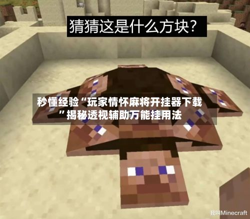 秒懂经验“玩家情怀麻将开挂器下载”揭秘透视辅助万能挂用法