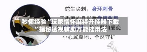 秒懂经验“玩家情怀麻将开挂器下载”揭秘透视辅助万能挂用法-第2张图片