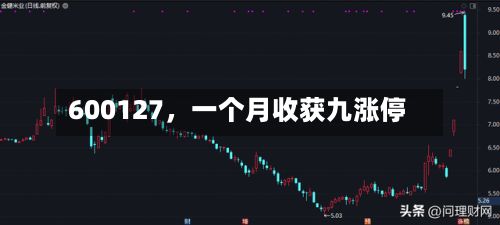 600127，一个月收获九涨停-第2张图片