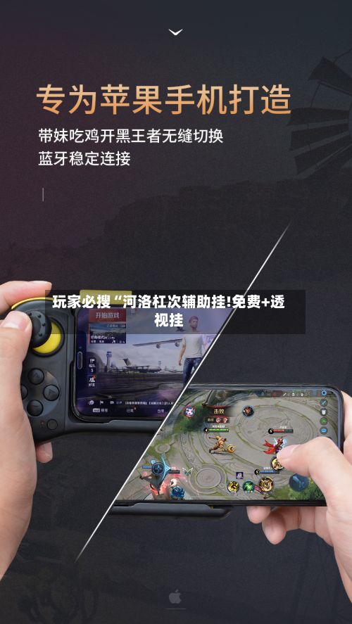 玩家必搜“河洛杠次辅助挂!免费+透视挂-第2张图片