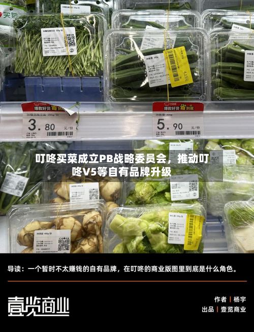 叮咚买菜成立PB战略委员会，推动叮咚V5等自有品牌升级-第1张图片