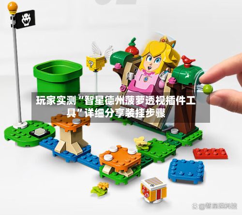 玩家实测“智星德州菠萝透视插件工具”详细分享装挂步骤