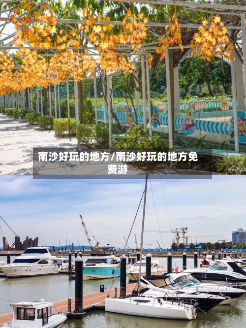 南沙好玩的地方/南沙好玩的地方免费游-第3张图片