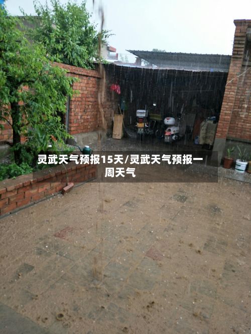 灵武天气预报15天/灵武天气预报一周天气-第2张图片