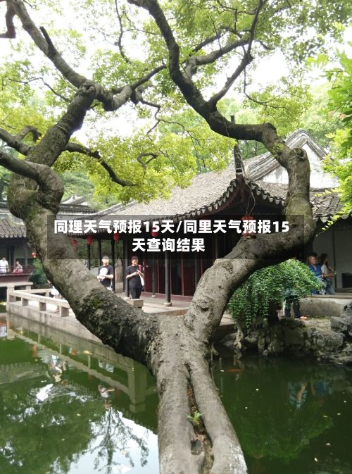 同理天气预报15天/同里天气预报15天查询结果