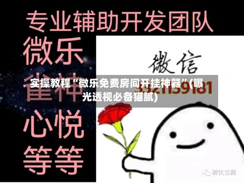 实操教程“微乐免费房间开挂神器	”(曝光透视必备猫腻)-第2张图片