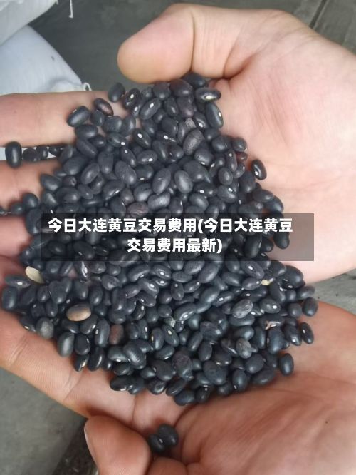 今日大连黄豆交易费用(今日大连黄豆交易费用最新)-第3张图片