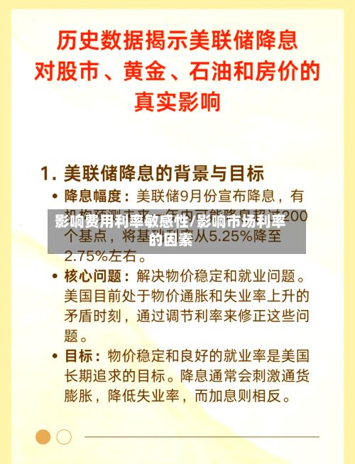 影响费用利率敏感性/影响市场利率的因素
