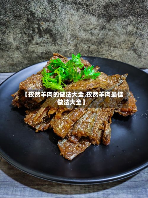 【孜然羊肉的做法大全,孜然羊肉最佳做法大全】