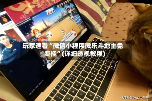 玩家速看“微信小程序微乐斗地主免费挂”(详细透视教程)-第2张图片