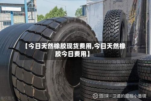 【今日天然橡胶现货费用,今日天然橡胶今日费用】-第2张图片
