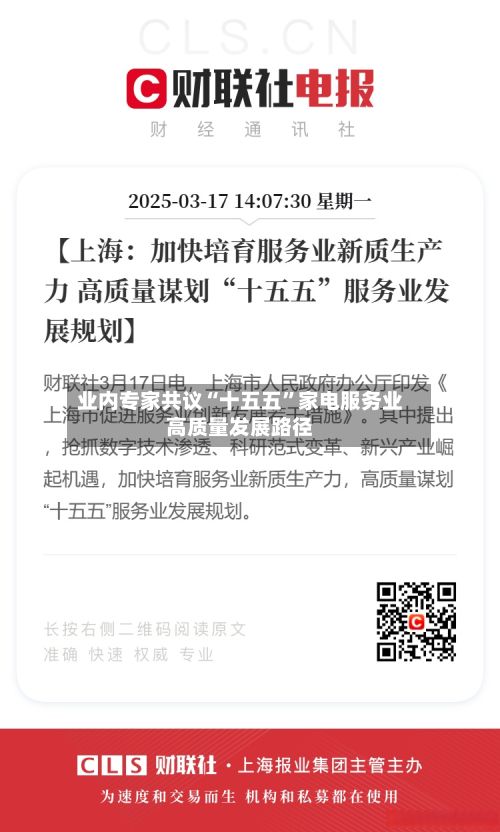 业内专家共议“十五五”家电服务业高质量发展路径-第2张图片
