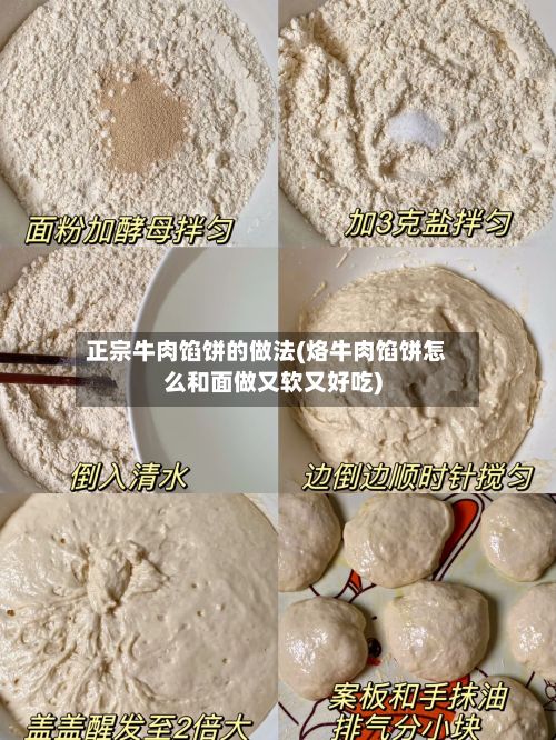 正宗牛肉馅饼的做法(烙牛肉馅饼怎么和面做又软又好吃)-第2张图片